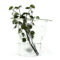 Carry Artid Vase 02 low res