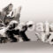 Hands Low Res watermark